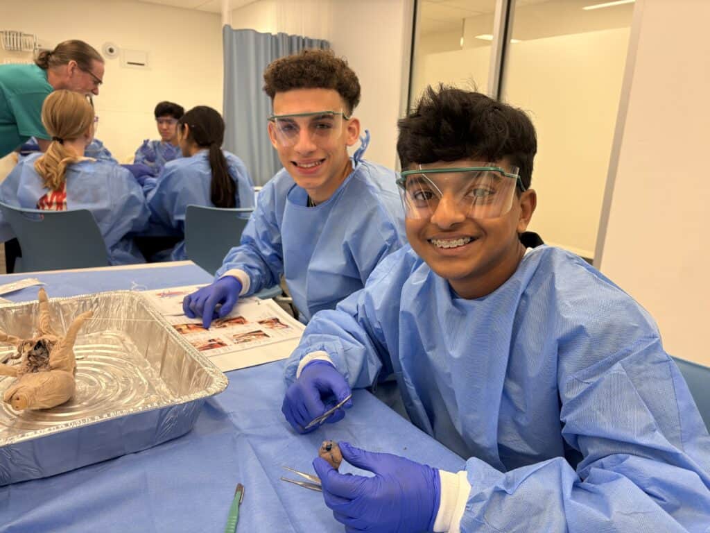Northwest MASH students working on pig dissection 