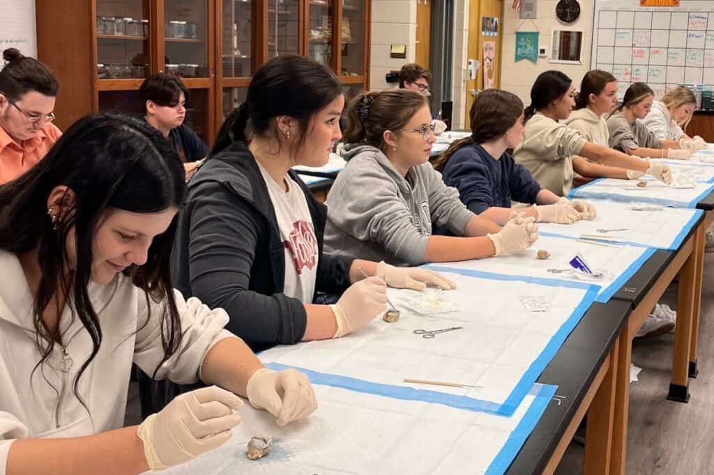 Find Your Future students dissection activity