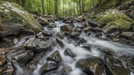 Photo of a stream with large rocks