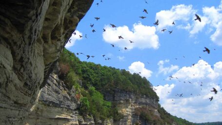Birds fly over a lake bordered by a rock bluff